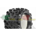 COPPIA GOMME PROLINE MAXX BIG JOE