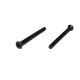 VITI CILINDRICHE TESTA PIATTA 3x36MM (2PZ)
