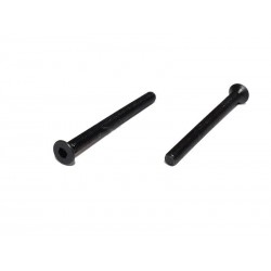 VITI CILINDRICHE TESTA PIATTA 3x36MM (2PZ)