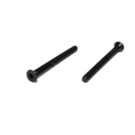VITI CILINDRICHE TESTA PIATTA 3x36MM (2PZ)