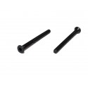 VITI CILINDRICHE TESTA PIATTA 3x36MM (2PZ)