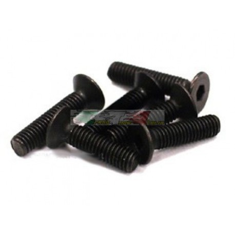 Viti in acciaio testa svasata a brugola M3x14 durezza 8.8 per 1:10 (6PZ)