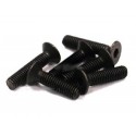 Viti in acciaio testa svasata a brugola M3x14 durezza 8.8 per 1:10 (6PZ)