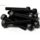 VITI CILINDRICHE TESTA ESAGONALE 2,5X25MM (10PZ)