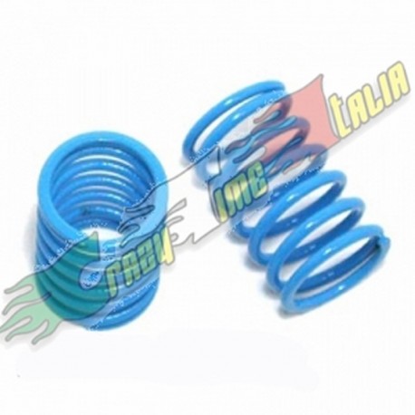 MOLLE BLU POSTERIORI