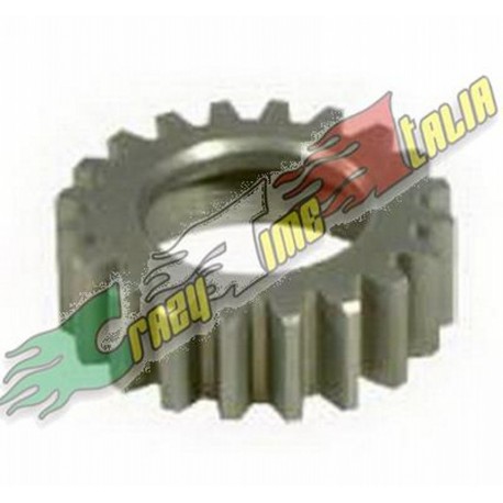 MOTONICA PIGNONE 20T