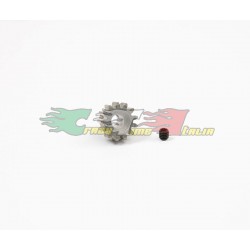 PIGNONE 13T MODULO 1