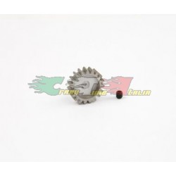 PIGNONE 19T MODULO 1