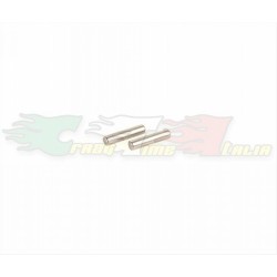RICAMBIO AVID - RA0303 - SOLID AXLE PIN 2,5X10,8mm (2pz)