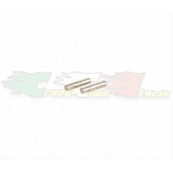 RICAMBIO AVID - RA0303 - SOLID AXLE PIN 2,5X10,8mm (2pz)