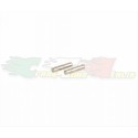 RICAMBIO AVID - RA0303 - SOLID AXLE PIN 2,5X10,8mm (2pz)