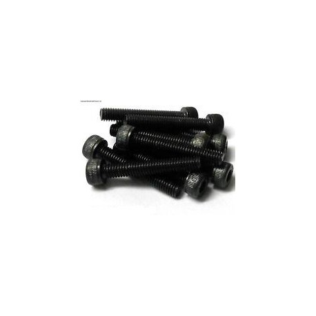 VITI CILINDRICHE TESTA ESAGONALE 2,5X25MM (10PZ)
