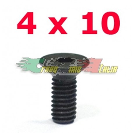 VITI SVASATE A BRUGOLA 4X10 (10)