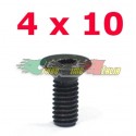 VITI SVASATE A BRUGOLA 4X10 (10)