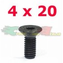 VITI SVASATE ESAGONALE 4X20MM (10)