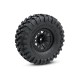 TRAXXAS 82056-4 - TRX-4 TRAIL CRAWLER