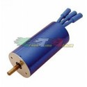 MOTORE EZRUN BRUSHLESS AUTO 1/16
