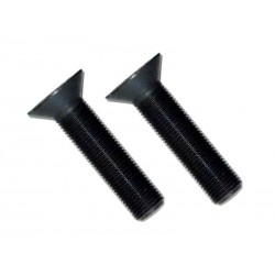 VITI A TESTA SVASATA M 2X15 (10) TS