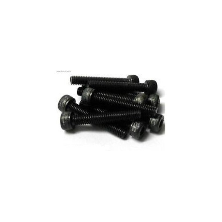 VITI CILINDRICHE TESTA ESAGONALE 2X25MM (10PZ)