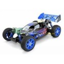 CARROZZERIA BUGGY VERNICIATA E COMPLETA DI ADESIVI 1:8