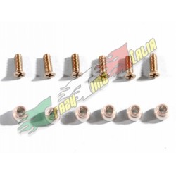 RICAMBIO ESKY 000669 V4LAMA SET VITI E SFERE