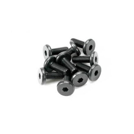 VITE IN ACCIAIO 3X8 TESTA PIATTA LARGA